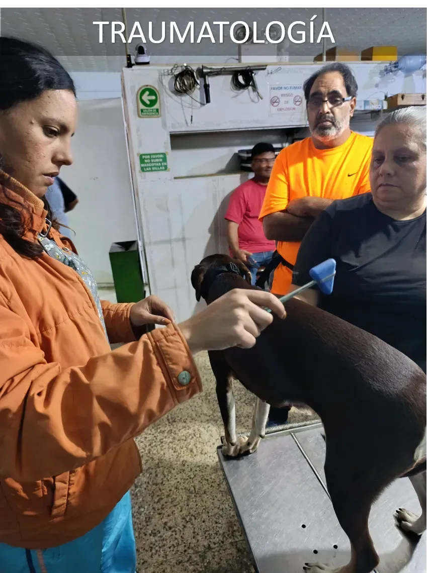 Consultas Médicas